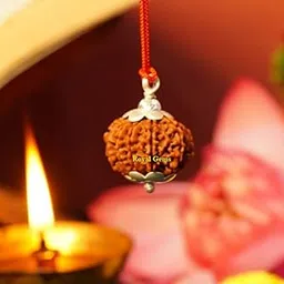 Royal Gems 14 Mukhi Rudraksha Original Certified Nepali 14 Face Chaudah Mukhi Rudraksha Locket Silver Pendant with Special Ashirwad of Hanuman 14 मुखी नेपाली चौदह मुखी रुद्राक्ष सिल्वर पेंडंट-picture-43