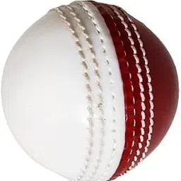 MSKR IncrediBall Soft T20 Cricket Training Ball, Indoor/Outdoor Play and Cricket Synthetic Ball(Pack of 1)-image-98