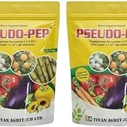 Titan Agritech Limited PSEUDO-PEP Pseudomonas fluorescens 1.0% W.P | Controls Plant Diseases and Boosts Crop Growth – 1kg (pack of 2)-picture-26