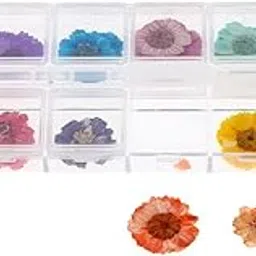 STYLEHEAVEN 12Colors Real Dried Flower 3D Nail Art Decoration For Acrylic Uv Gel Tips 05|Health & BeautyNail Care, Manicure & Pedicure|Nail Art Accessories-image-34