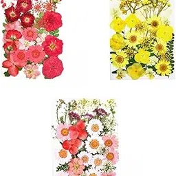SHOPORA 3pack of Dried Flowers Petals Art Craft Epoxy Resin Jewelery Soap Making Crafts | Home Arts & Crafts | Floral Crafts | Dried Botanicals & Potpourri | Dried Flowers-picture-25