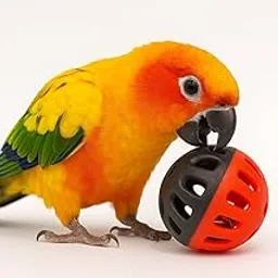 Durable Colourful Play Ball for Cockatiel, Budgies, African Greys, Cockatoos & Macaws – Hanging Toy for Large Parrots-picture-58