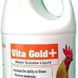 DR. PDX India Vita Gold Plus Syrup, Multivitamins Supplement, Liquid Form, with Vitamins B12, D3, K, E, A, B6 and Iron, 100ml, 250ml, 500ml (250.ml)-picture-26