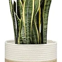 Live Beautiful ! Jute Spliced Cotton Rope Plant Basket for 10" Floor Indoor Planter, 11" x 11" Decorative Flower Pot Cover Laundry Bin with Handles Rustic Home Decor (White/Beige)-image-16