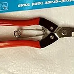 KISTON SCISSOR FOR FRUIT SNIP WITH STEEL BADE FOR GARDEN AND HOME USE-picture-19