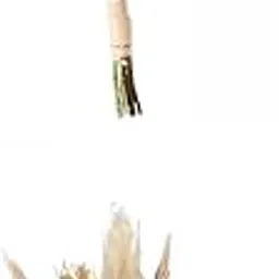 Merishopp 2pcs Dried Flowers Bouquets Dried Plants Wedding Boho Gold Pink-image-24