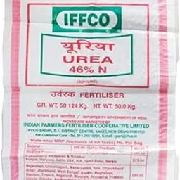 Uria Powder-picture-34