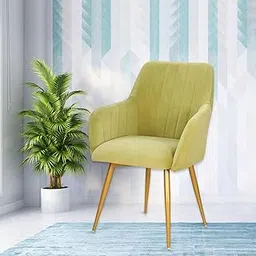 Curious Lifestyle Velvet Dining Chair | Cafe Chairs with Cushion Seat | Modern Velvet Fabric Accent Seat for Bedroom/Study Room|Restaurants Kursi with Armrest & Metal Legs (Lime, 19x24x39 Inch)-picture-70