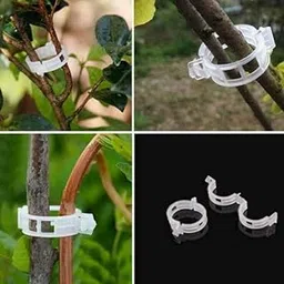 Plant Clips Pack Of 180 | Tomato Plant Clips for Stronger Plants | Support For Climbers | Ideal For Climbers | Sturdy and Reliable | Plant Climbers Wall Clips | Length 23MM | W-40MM-picture-18