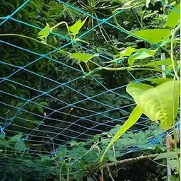 Heavy Duty Creeper Net For Plant Climbing, Gardening Netting For Vegetables And Fruit Trees, Protects Plants From Wind And Rain - 11 Feet X 16 Feet,Green-image-29