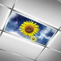 Vigetue Fluorescent Light Decorative Covers for Classroom Office Ceiling Lights - 2x4 - Improves Focus, Provides Relief from Harsh Fluorescent Lights, 1 Pack(Sunflower Blue Sky Starry)-picture-24