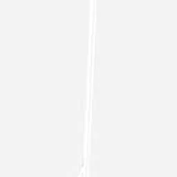 Palmera 2 Feet Coir Factory Broom Brush Heavy Wood Block and Commercial Steel Handle-picture-18