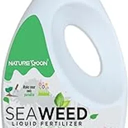 Concentrate Liquid Seaweed Fertilizer for Plants (500 ml) | Essential for Indoor & Outdoor Plant Growth| Flowering |Gardening and Agriculture|Keeps Plants Healthy and Greenish (500 ml)-picture-16