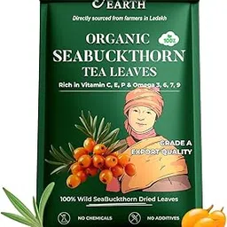 AyuraEarth SeaBuckthorn Tea Leaves (50gm) | Herbal Tea for Skin Health, Immunity & Detox | Rich in Antioxidants, Vitamin C & Omega 7 | Pure & Natural | Caffeine-Free-picture-13