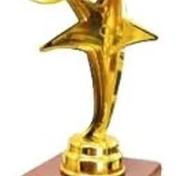 Royal Trophy Beautiful Star Award Sports Achievement Trophy Winner Momento Best Player Champion Prize for Men & Women-image-3