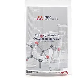 Photosynthesis and Cellular Respiration Molecular Model Set-picture-29