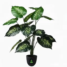 Artificial Dieffenbachia Plant, Realistic Faux Dumb Cane with Decorative Pot, Large Indoor Floor Plant for Living Room Office Corner Decor, Multiple Pot Colors Available (Black /White/Grey) (18 LEAF)-image-31