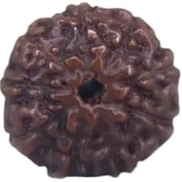 MAA SHAKTI GEMS Nau Mukhi Rudraksha From Nepal Genuine Nine Face Rudraksha Superb Brown नौ मुखी रुद्राक्ष IGL Lab Certified Premium 9 Mukhi Rudraksha For Men And Women-image-52