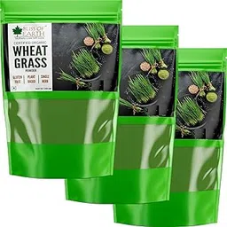 Bliss of Earth Organic Wheatgrass Powder Super Food Dietary Supplement 3X 250 gm-image-35