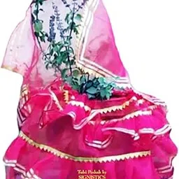 SIGNISTICS Tulsi Poshak for Plant Pot On Vivah & All Occasions (Lehga & Chunni) - Pack of One Dress, Pink Color-picture-17