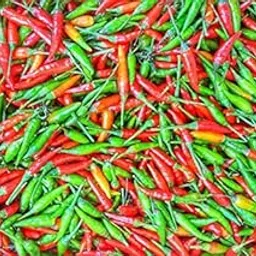 Golden Hills Farm hybrid African Bird Eye Chilli Kanthari Mulaku,Thai Pepper 50+ seeds-picture-16