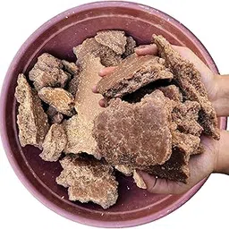 Groundnut Cake Fertilizer for Plants-450g | Organic Plant Food for Home Garden, Flowers & Vegetables | Natural Growth Booster-picture-26