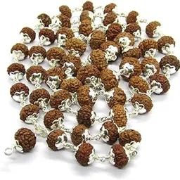 Ganesha Arts 7 Mukhi Indonesian Rudraksha Mala 54 Beads in Silver (8mm-10mm) Lab Certified-picture-10