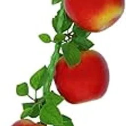 Wonderland Artificial red Apple Fruit String Polyurethane (1 Piece)-picture-51