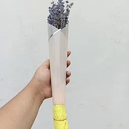 Dried Organic Kashmiri Lavender Bunch 60+ Stems | Real Dry Lavender Bouquet for Gifting, Office, Shop Decor/Fragrance, Positivity, Air purify| 12-13" Length | Budget Friendly |-image-60