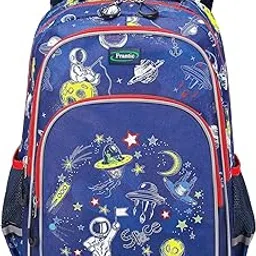 frantic Waterproof Polyester 26 L School Backpack School Bag Daypack Picnic Bag For Boys & Girls(RR_Blue_Star_Space)-picture-14