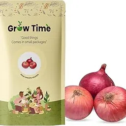 Red Onion Vegetable Seeds, Vegetable Seeds for Home Gardening, Vegetable Planting Seeds for Kitchen, Red Onion Seeds (Pack of 4g)-picture-10