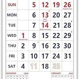 Vivid Print 801 English 14x20" 12 sheets monthly wall calendar 2025 Red Royal Blue-picture-19