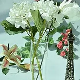 Labzio Borosilicate Glass Flower Vase – 10.5-inch Hand-Blown Transparent Vase for Home, Office, Dining Table, Bedroom, Living Room, Wedding Centerpiece & Indoor Plant Decoration-picture-20