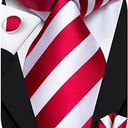 hi-tie Mens Red and White Striped Woven Silk Tie Necktie set-picture-10