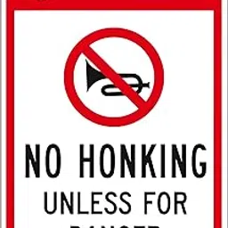 OBS Custom Yard Sign, 8 x 12 Inches Aluminum Warning Metal Signs, Indoor or Outdoor Use for Home Business, UV Protected & Waterproof (Quite Please - No Honking Unless for Danger)-picture-42