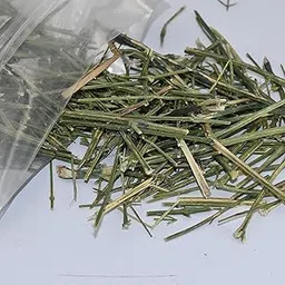 Organics Chirata - chirayata Leaves, Bitter Stick, Nilavembu, Helps Control Diabetes 200gm-picture-14