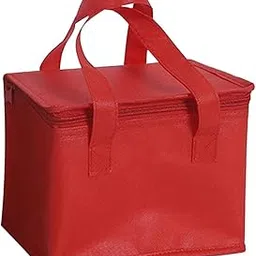 Insulated Lunch Case Food Container Thermal Cooling Bag for Beach Camping 8in 29cmx29cmx22cm-picture-14