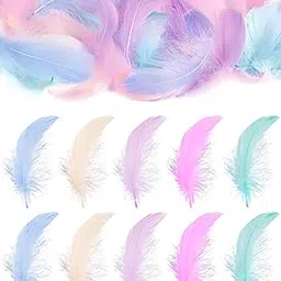 200pcs Feathers for Crafts, Colorful Small Feathers for DIY Projects, Party Decorations, Dream Catchers, Jewelry Making, Lightweight Craft Material-picture-53