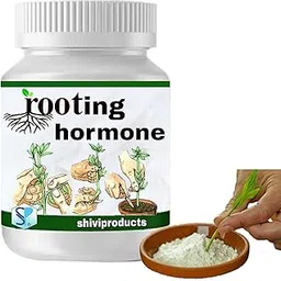 Shiviproducts Rooting Hormone powder for plants cuttings (50g)| Promotes Rooting and Growth | New Plants from Cuttings-picture-10