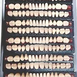 Dental Acrylic Teeth Kit Sets Shade Of Teeth M2/26.NO.-picture-42