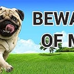generic Beware of Me Dog Warning Sign, Pug Design, Outdoor Garden Security Board-picture-43