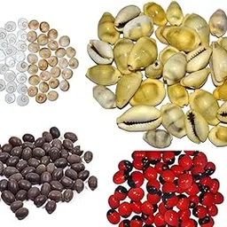 SD and Son's Rakt Gunja Chirmi Beads, Yellow Stoneware Kawri Kodi Peeli, Kamal Gatta and Gaumati chhakra (11pcs Each) for Puja, Worship, Diwali Pooja Samagri-picture-12