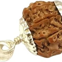 6 मुखी रुद्राक्ष ओरिजिनल 6 Mukhi Rudraksha Nepali Brown Beads Natural Six Face Lord Kartikeya Round Shape Original Certified By Lab छह मुखी रुद्राक्ष 6 Face Six Mukhi Rudraksha for Jaap By BluDiamond-picture-57