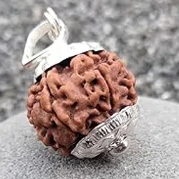 6 Mukhi Small Rudraksha Original Certified 15mm with Capping 6 Face Rudraksha 6 मुखी रुद्राक्ष ओरिजनल भगवान कार्तिकेय Ruthratcham for Rudraksha Mala Pendant Six Face Six Mukhi by Certified Gems-picture-54