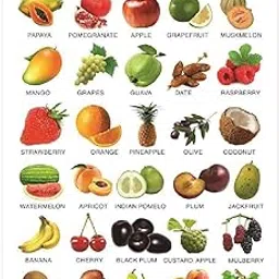 Eoi Marketing Fruits Wall Charts - Extremely Usefull For Growing Kids | Laminated Chart | Paper Size (13 * 19 inch) | Paper Print (Rolled With Safety Tube)-picture-18