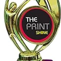 THEPRINTSHINE Customized Shiny Godlen Trophies with Plastic Base Small Size Trophies for Winners appreciations Event Occasion Award (Award_3)-picture-31