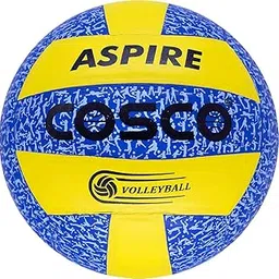 Cosco Aspire Volleyball (Pu Leather Pasted 18 Panel, Multicolor)-picture-25