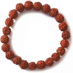 ramansh poojan samagri kendera Authentic Rudraksha Bead Bracelet for Men and Women - Natural 5 Mukhi Rudraksha Mala for Meditation, Spiritual Healing, Stress Relief, Positive Energy-picture-25