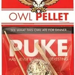 Owl Pellet-picture-22