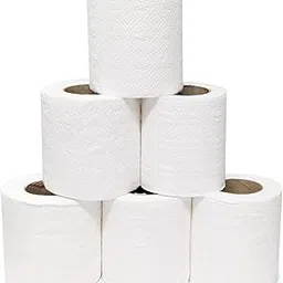 SOFTISS Hotel Toilet Tissue Rolls 2 Ply 50 grams (Pack of 48 Rolls)-image-95